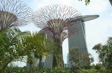 Cocktail with my friends in Singapore…