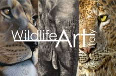 Wildlife Art Italy