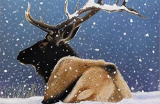 Arte, Natura e Montagna