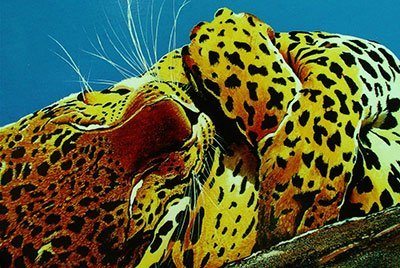 Mostra “La natura e il sogno”