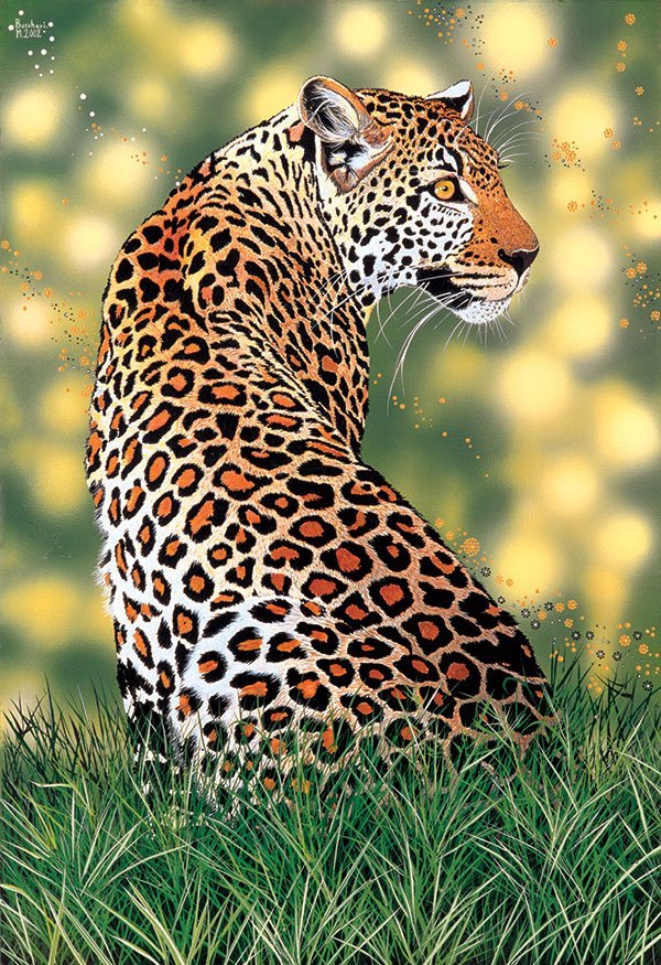 LEOPARDO IN LUCE
