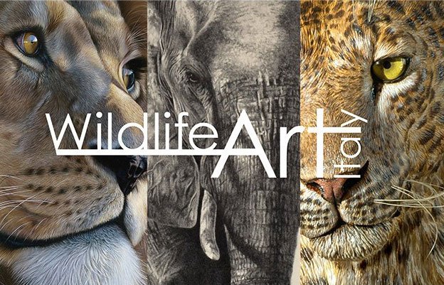 Wildlife Art Italy