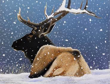Arte, Natura e Montagna